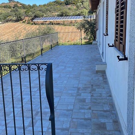 Agriturismo Vigna De' Luceri Loceri Exteriér fotografie