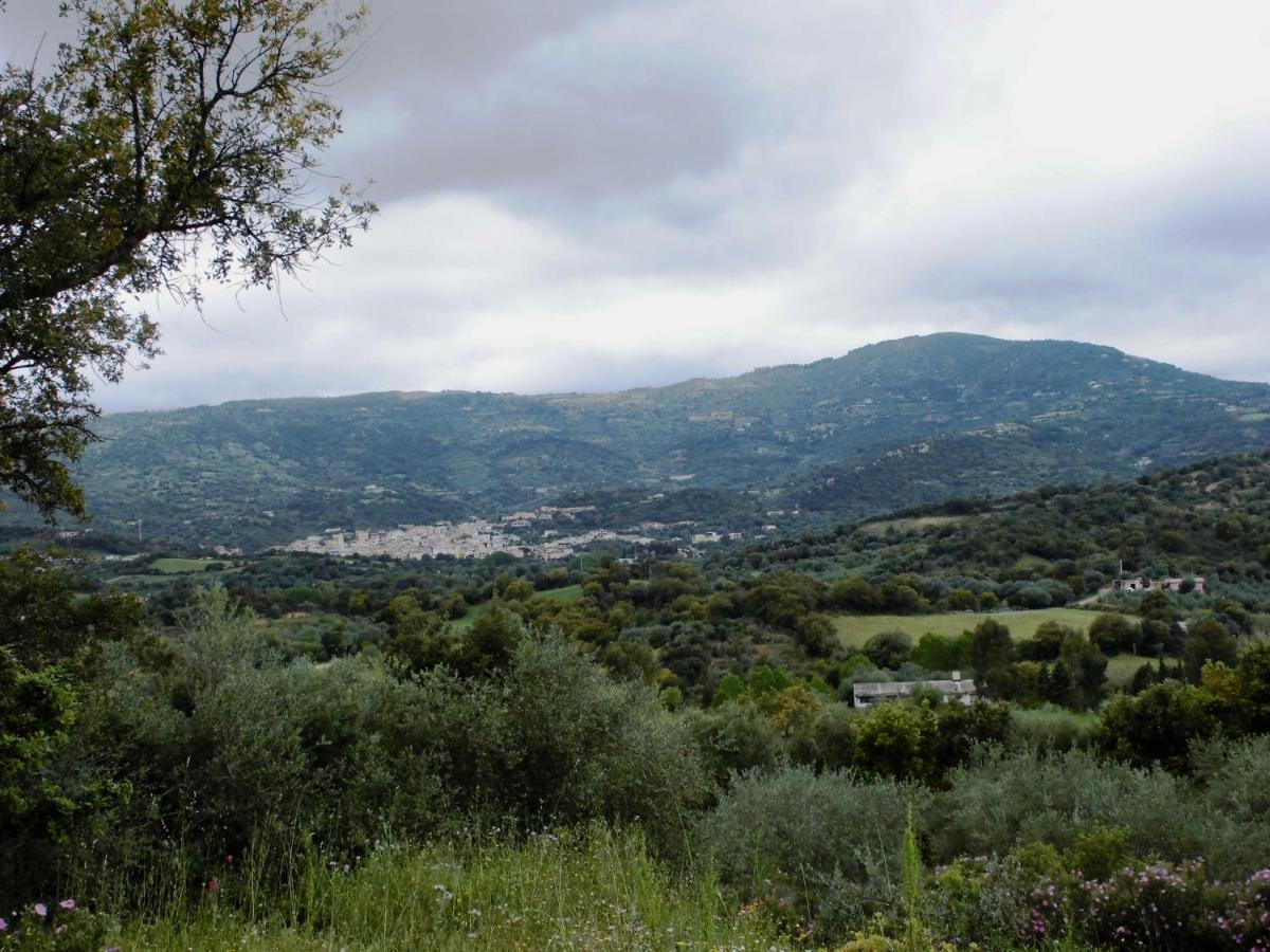 Agriturismo Vigna De' Luceri Loceri Exteriér fotografie