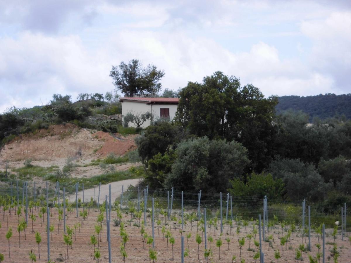 Agriturismo Vigna De' Luceri Loceri Exteriér fotografie